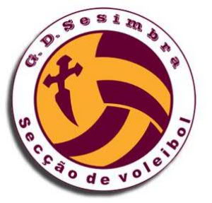 logovoleibolgds300