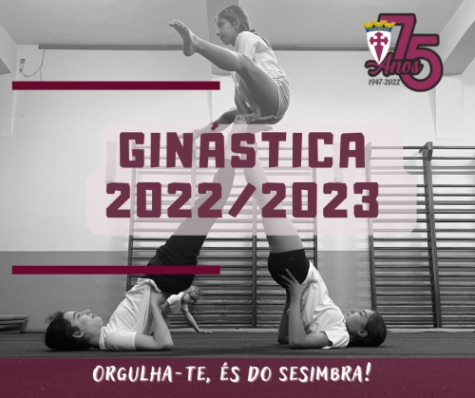 2223ginastica