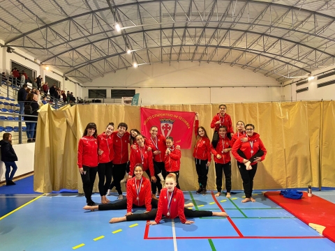 2223ginastica2131