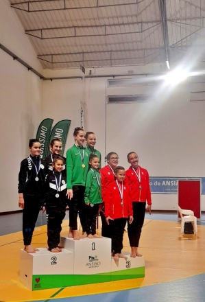 2223ginastica2133