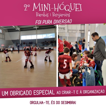 2324minihoquei27112