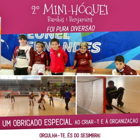 2324minihoquei27113