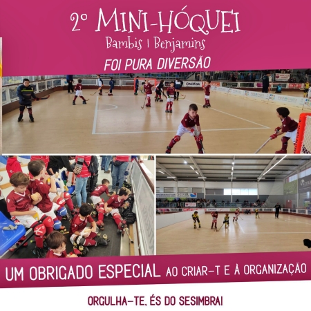 2324minihoquei27114