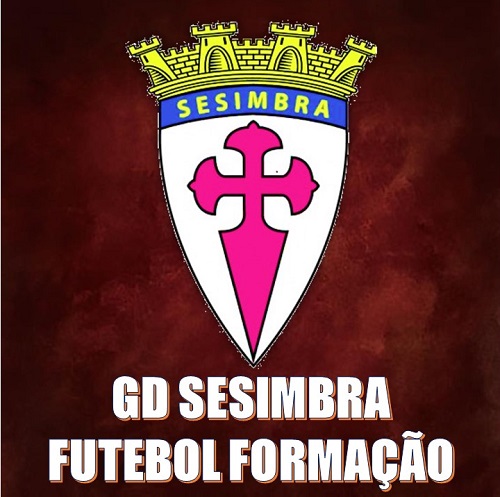 gdsfutformacao