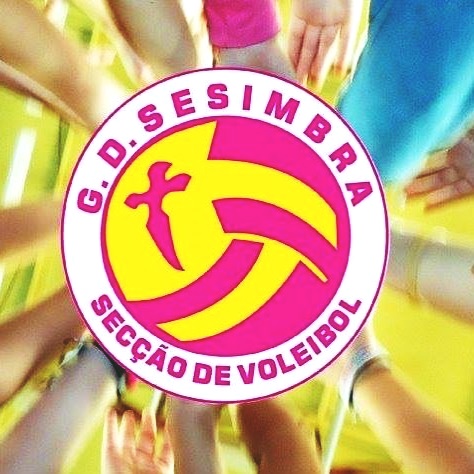 logogdsvoleibol